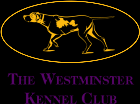 Westminster Kennel Club Dog Show at Madison Square Garden
