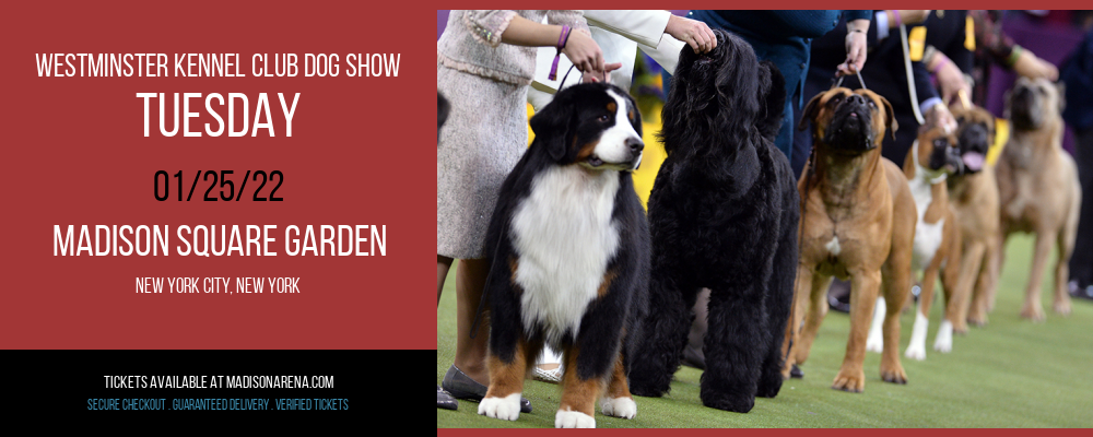 Westminster Kennel Club Dog Show - Tuesday [CANCELLED] at Madison Square Garden