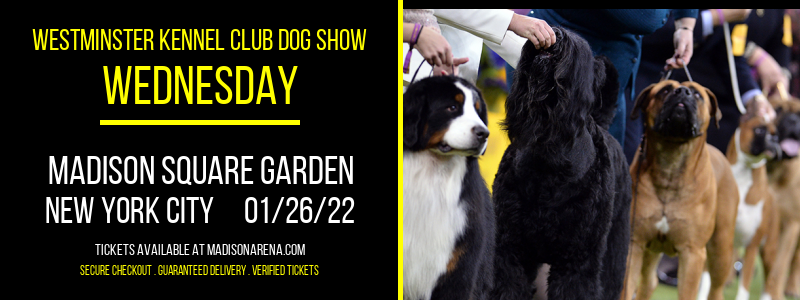 Westminster Kennel Club Dog Show - Wednesday [CANCELLED] at Madison Square Garden